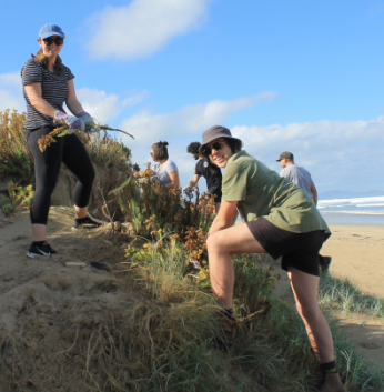 Young people weeding in a coastal environment.